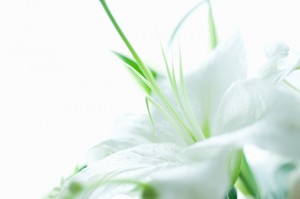 blog_img001