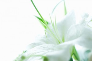 blog_img001