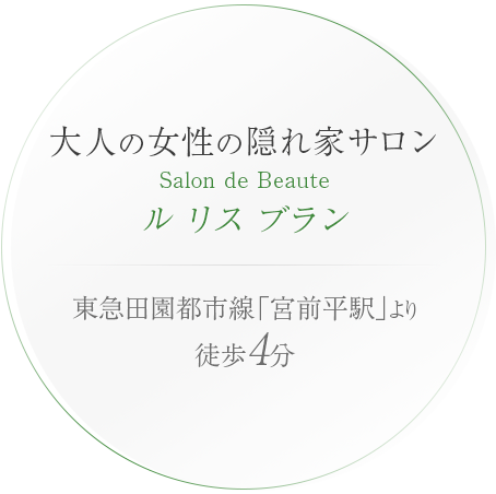 大人の女性の隠れ家サロン Salon de Beaute　ルリスブラン